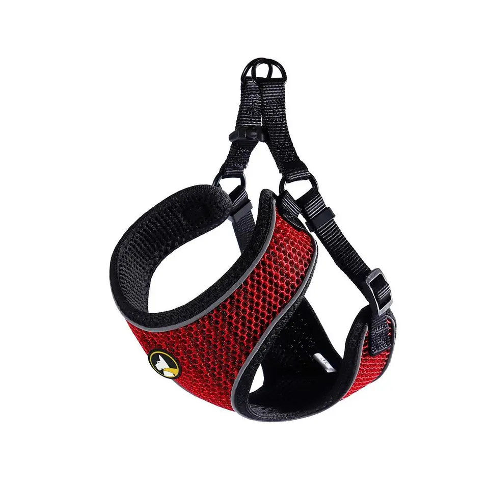Arne Wonder Dog S Modelo Max  2