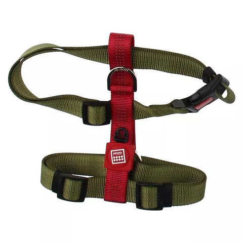 Arnes Gigwi Talla XL 