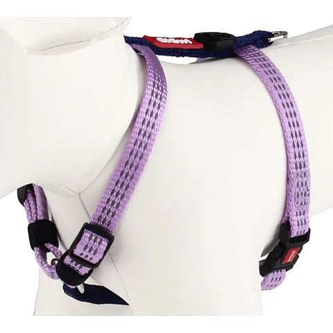Arnes Gigwi Talla S 