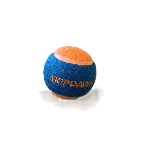 Pelota Tenis Skipdawg 1 unidad