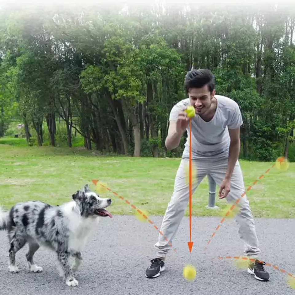 Skipdawg Agility Ball  2
