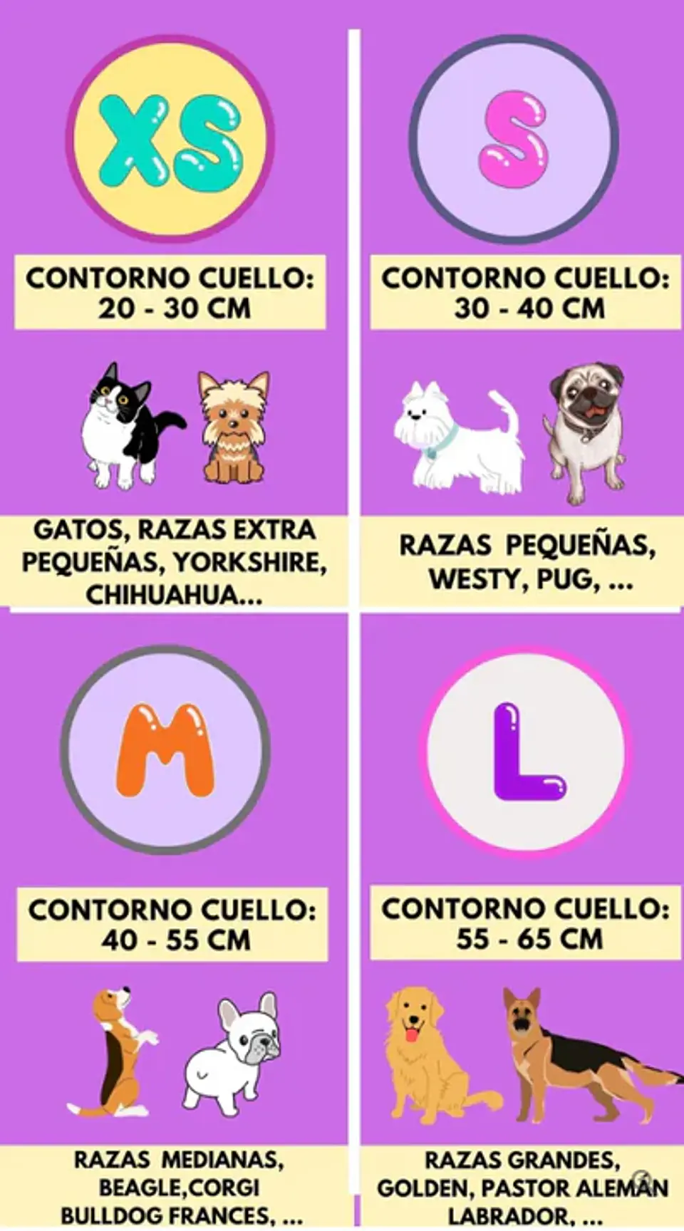 Bandana Cumpleaños 4