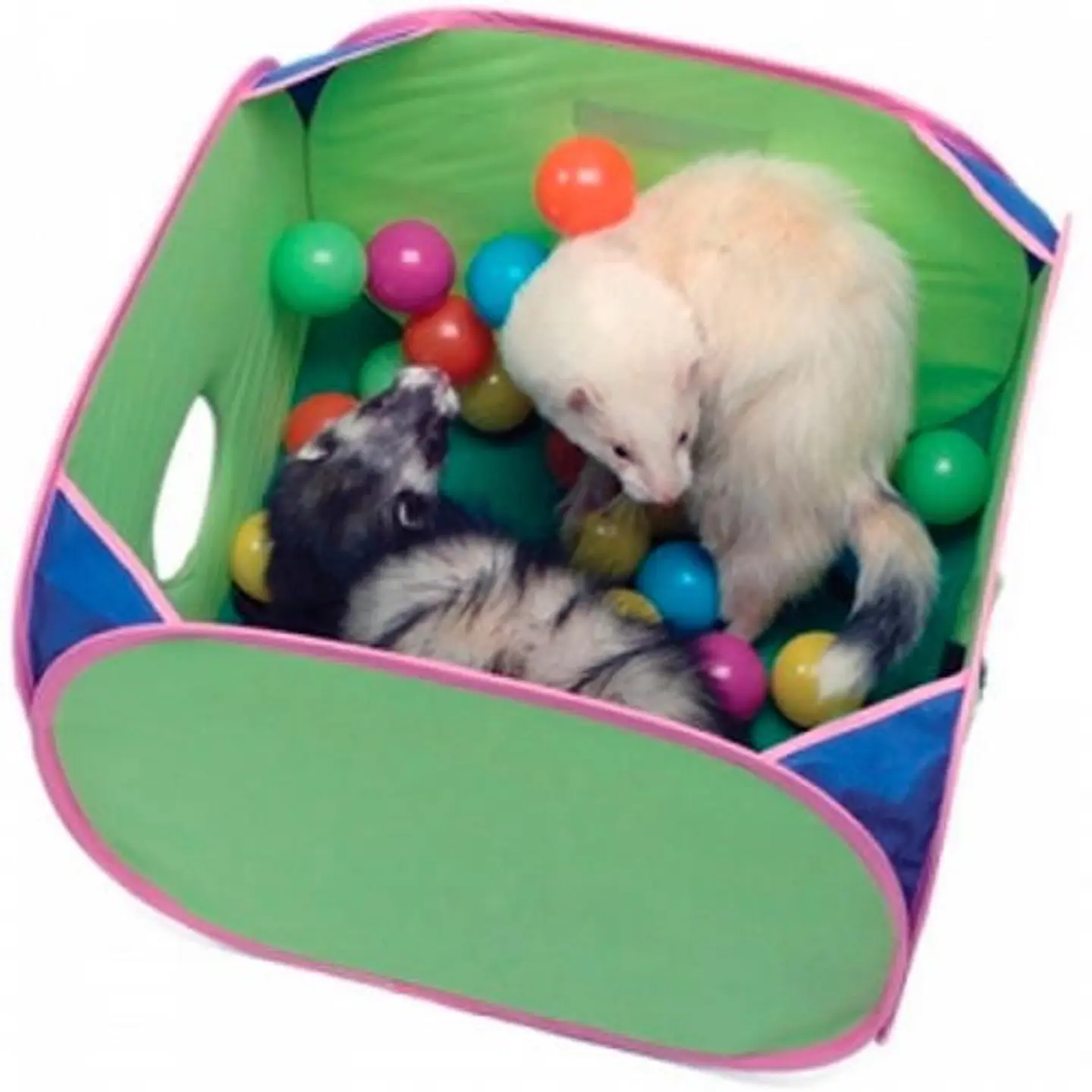 Juguete Huron Interactiv Pop And Play  2