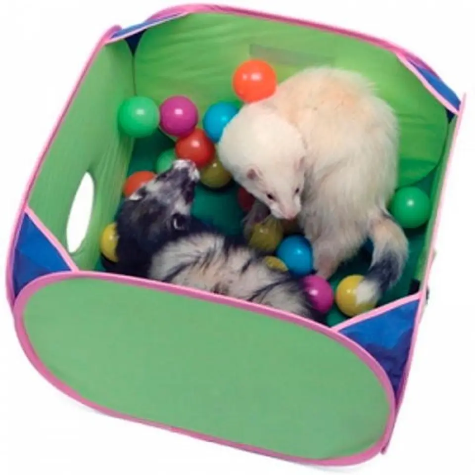 Juguete Huron Interactiv Pop And Play  2