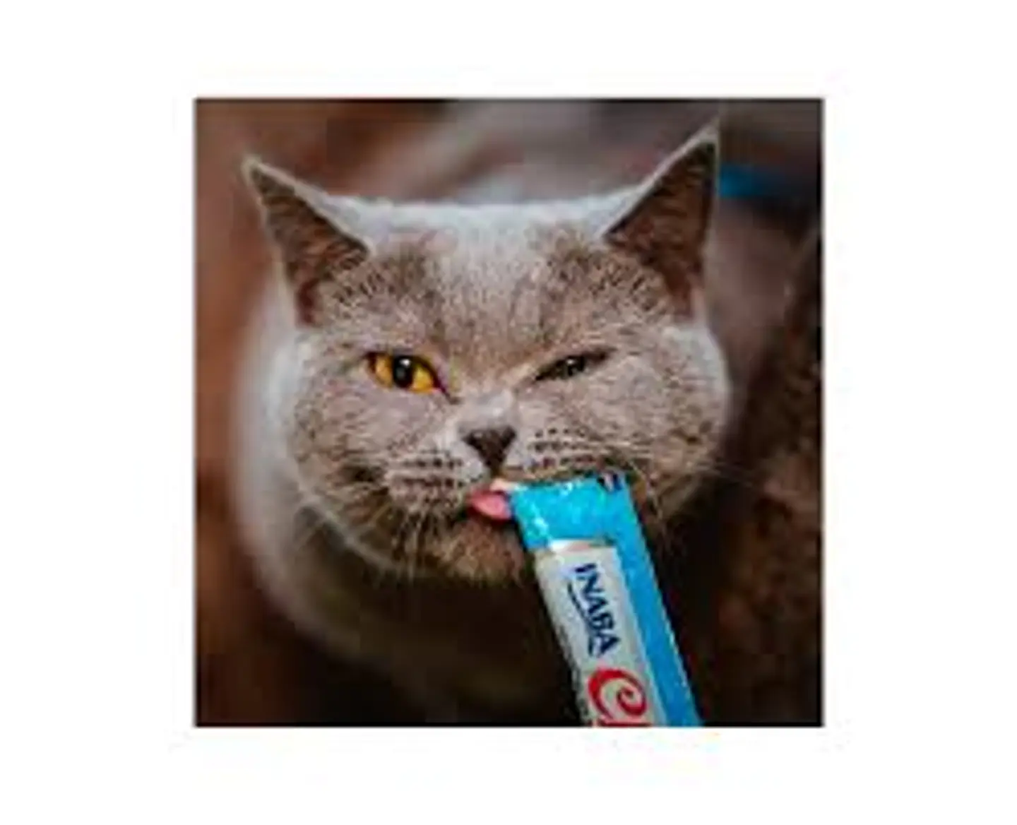 Churu Unidad Atun Variedades  1