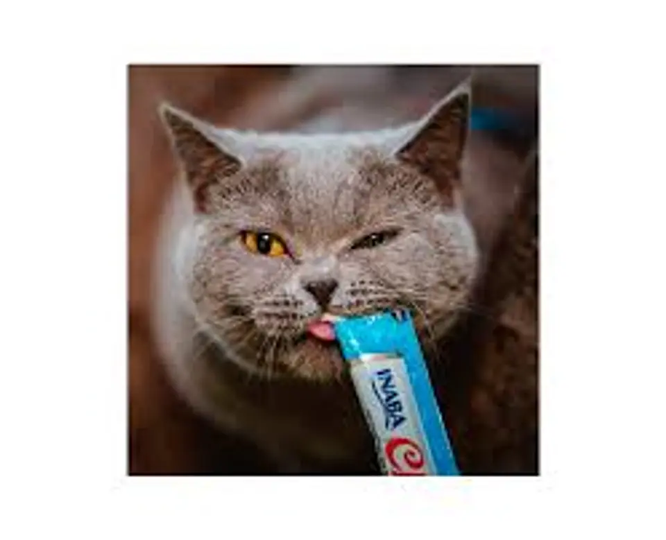 Churu Unidad Atun Variedades  1