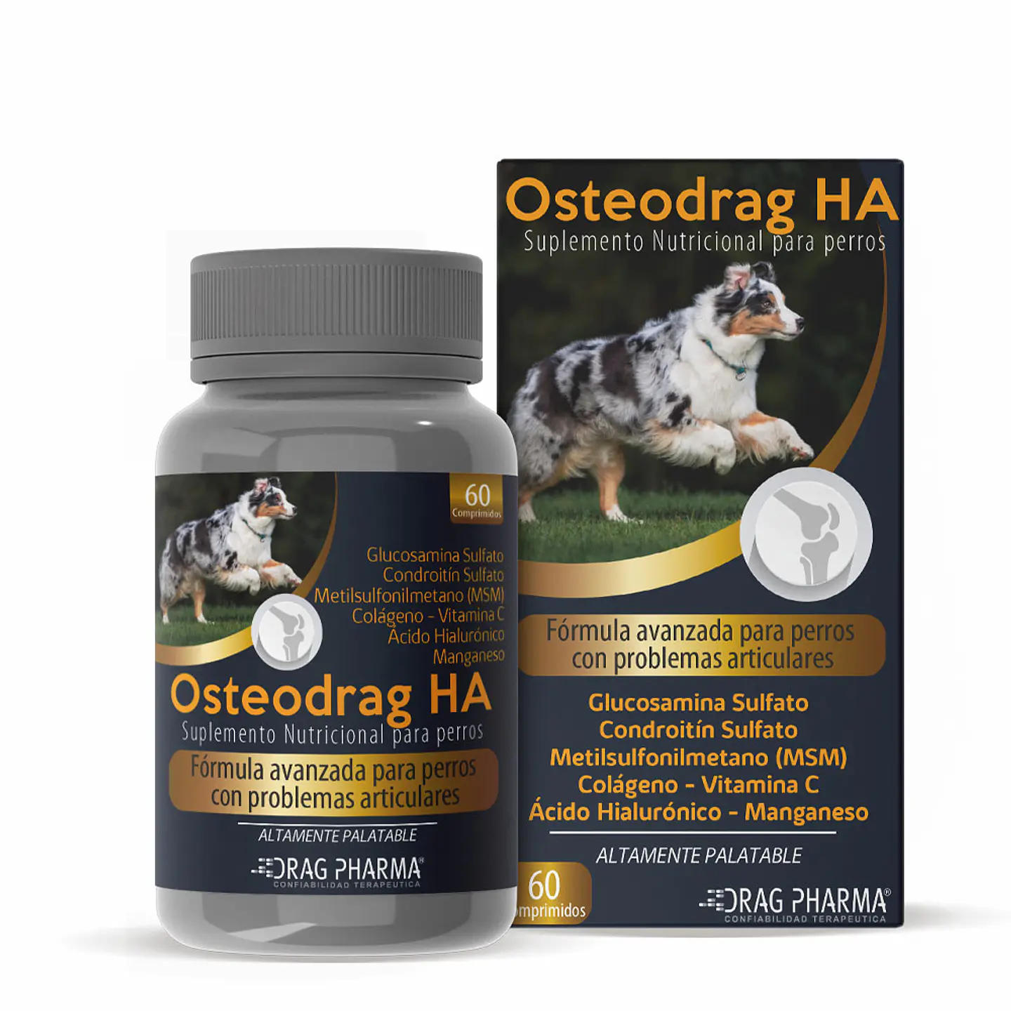 Osteordrag HA 60 Comprimidos  1