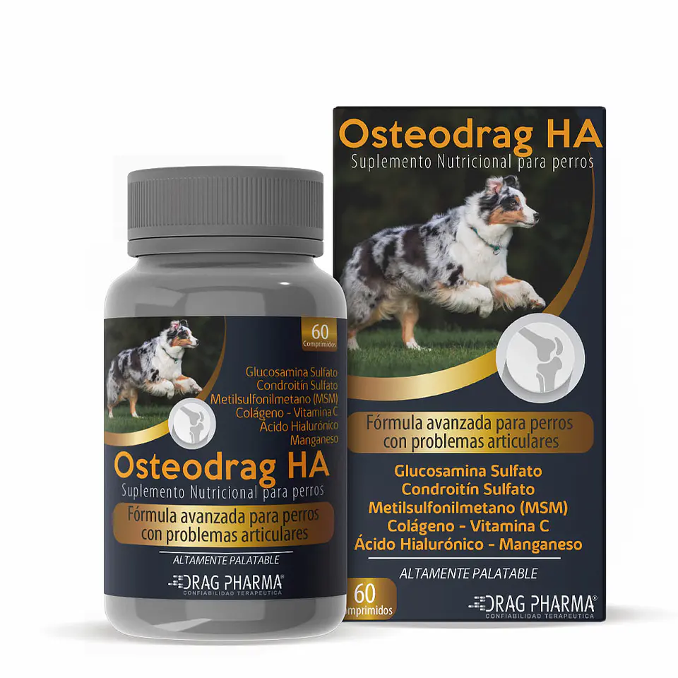Osteordrag HA 60 Comprimidos  1