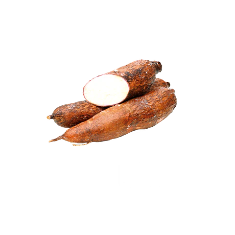 Bravery Herring Perro Senior 2K 