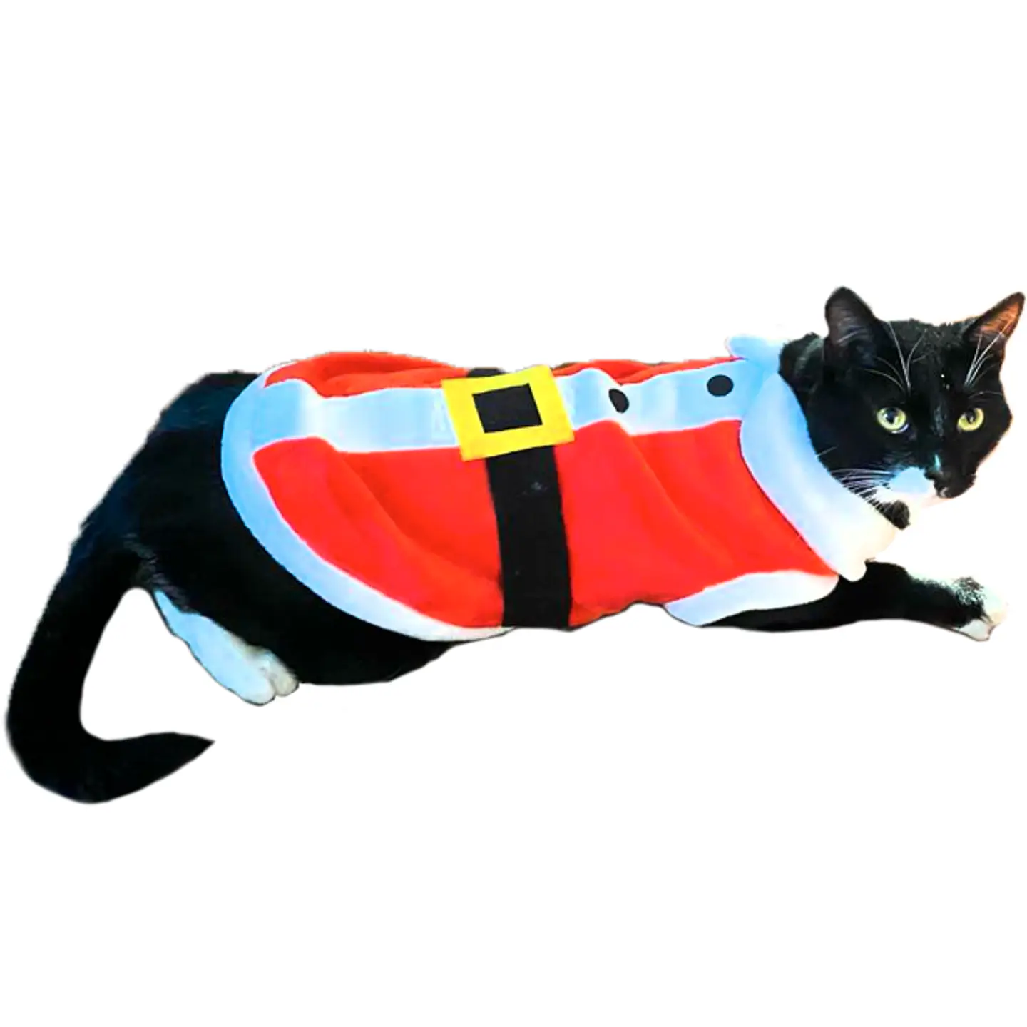 Disfraz Santa 2