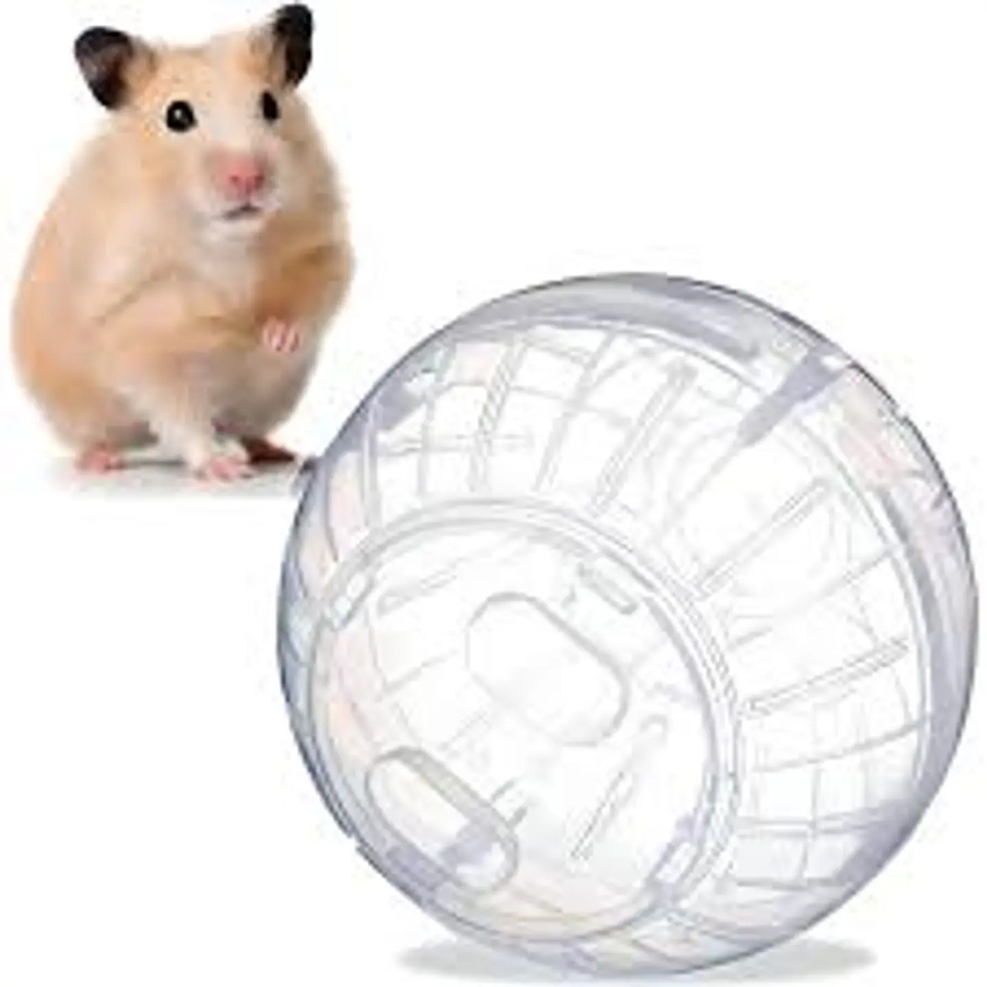 Esfera Acrilica para Hamster 18cm 3