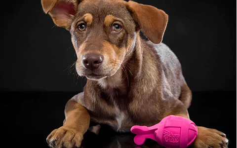 Hartz DuraPlay Rocket Large Dog Toy 