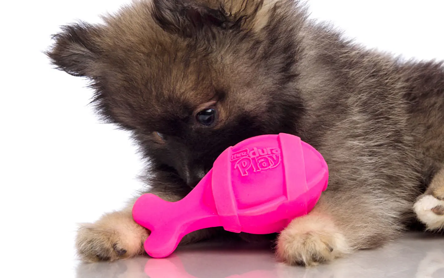 Hartz DuraPlay Rocket Small Dog Toy  1