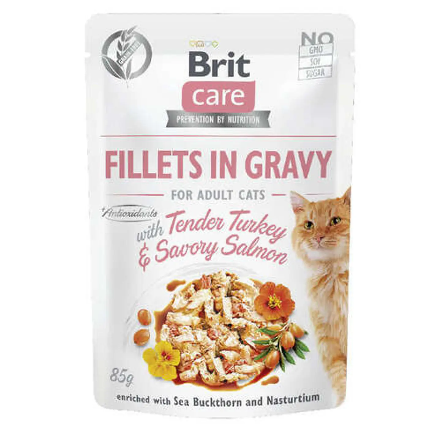 Brit Care Cat Fillets in Gravy Turkey and Salmon  1