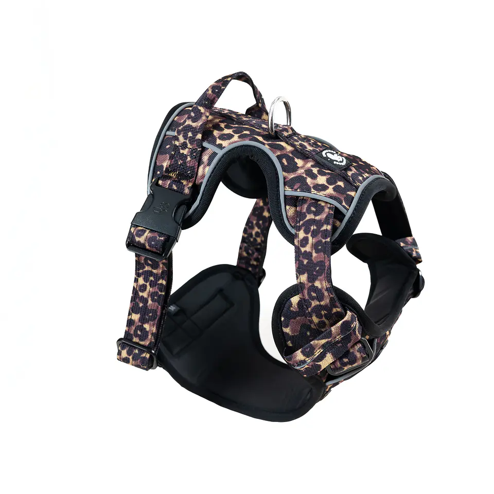 Arnes Comfort Street Dogs 5