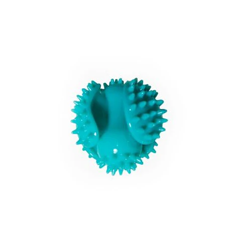 Pelota Pinchuda Warrior