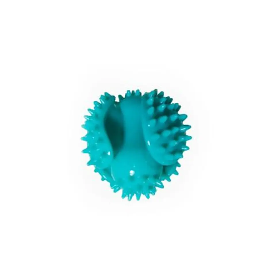 Pelota Pinchuda Warrior 2