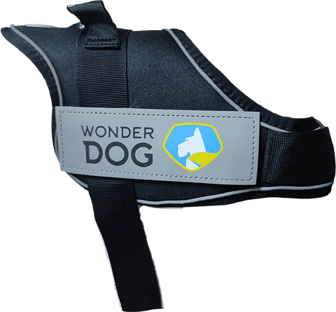 Arnes Simple Tela Oxford XXL 