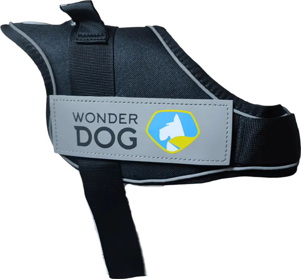 Arnes Simple Tela Oxford XXL  1