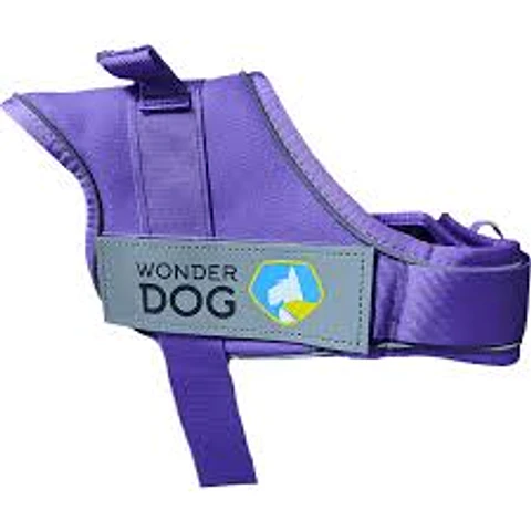 Arnes Simple Tela Oxford XXL 