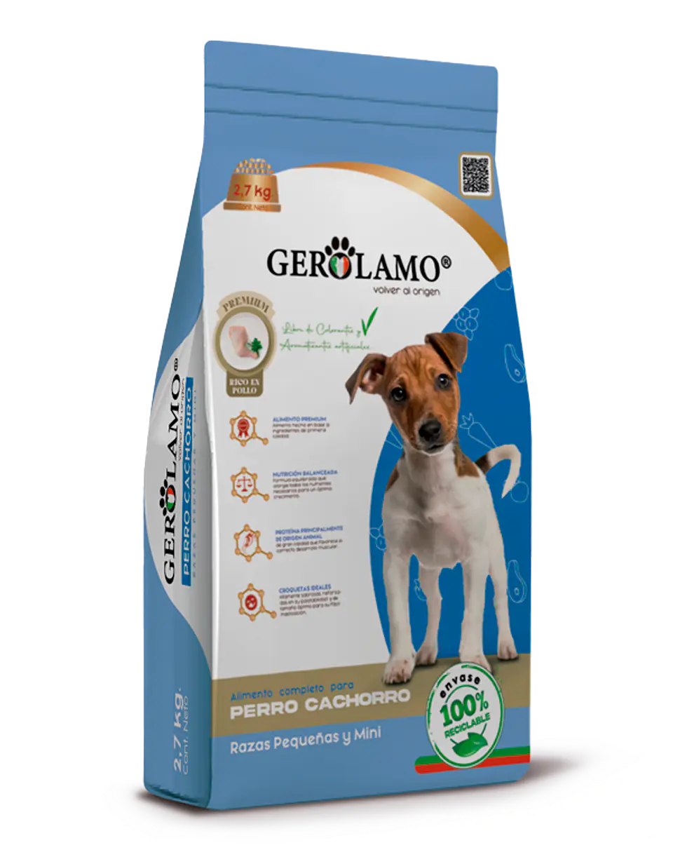 Gerolamo Cachorro Raza Pequeña 2.7K  1