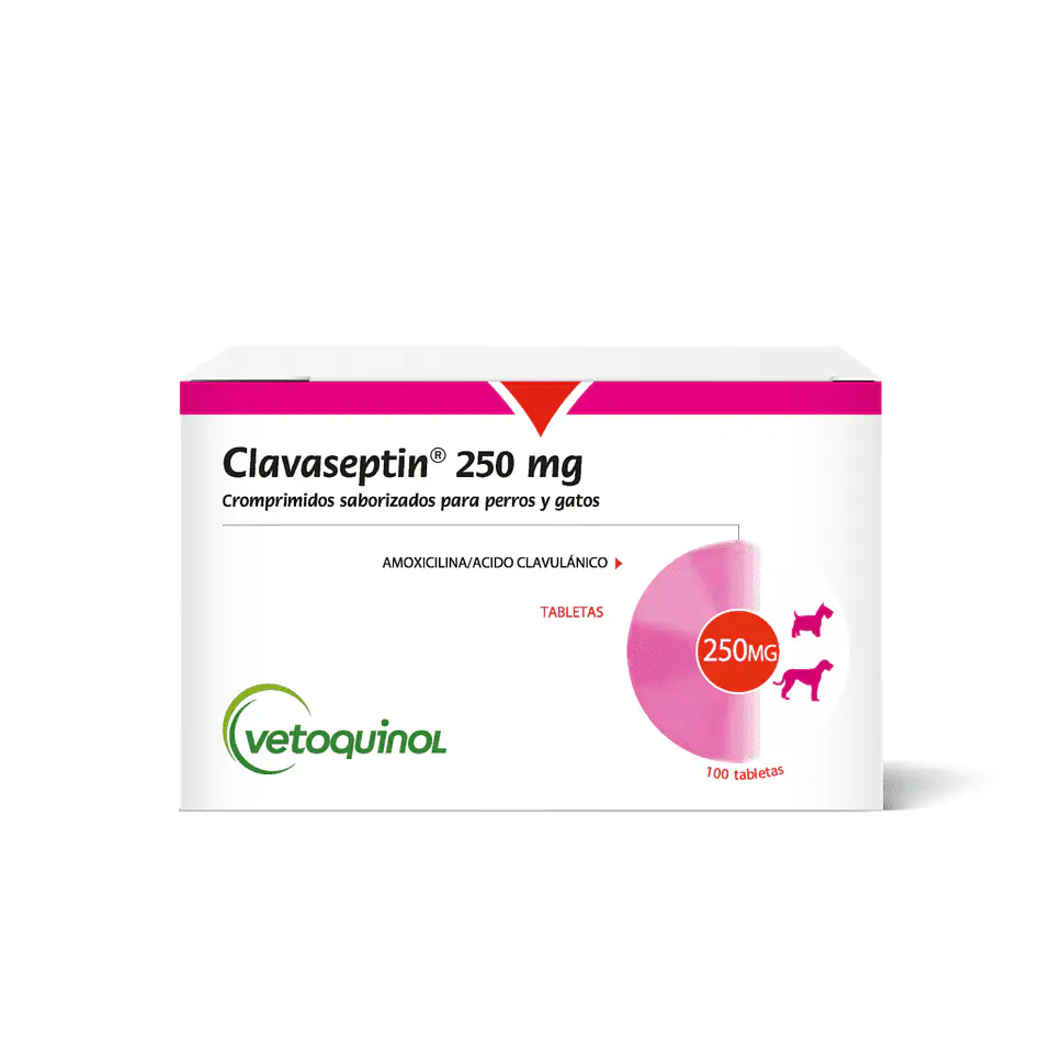 Clavaseptin 250mg  1