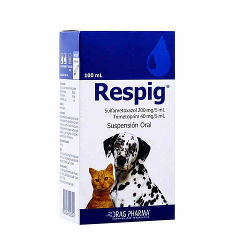 Respig Jarabe 100 ml 