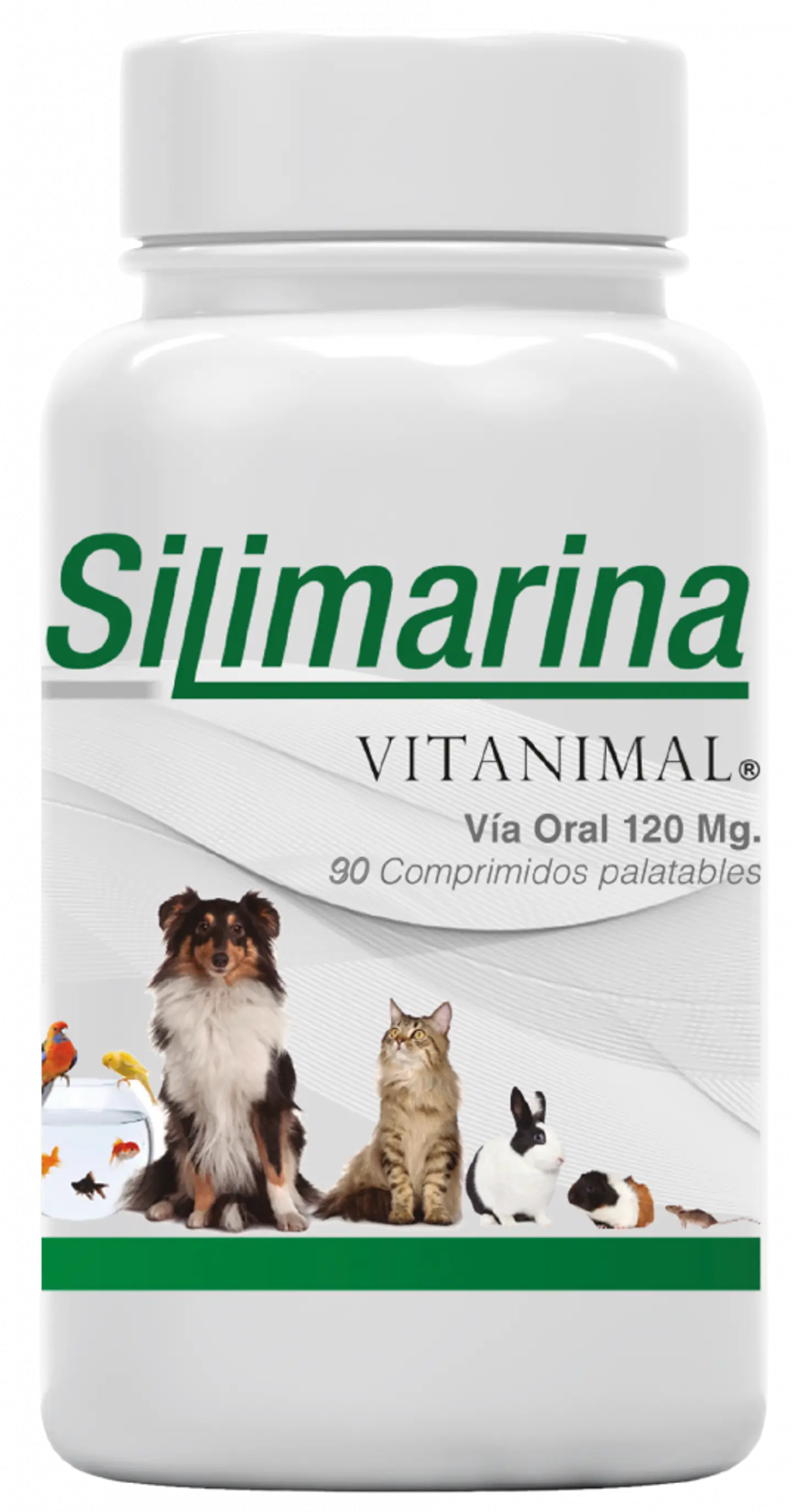 Silimarina 90 comprimidos 1