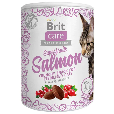 Brit Care Snack SuperFruits Sterilized 100grs 