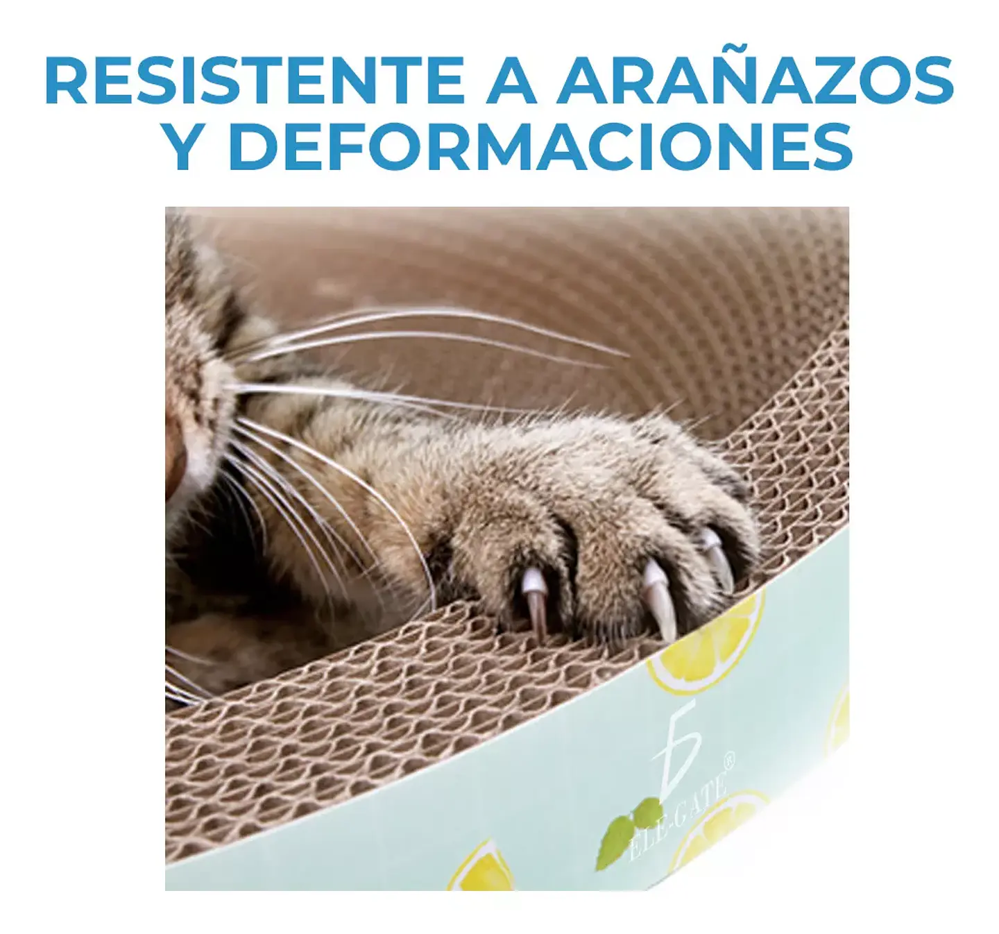 Rascador Cuenco M  3