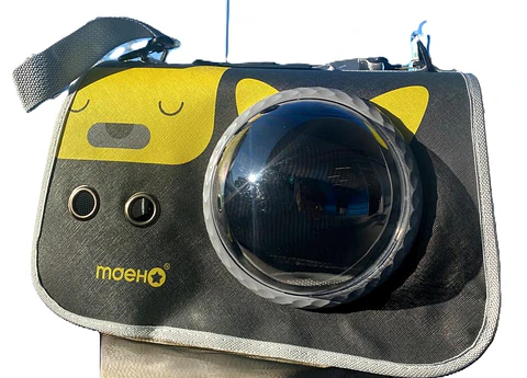 Bolso Cupula Para Gatos 35x20x20 