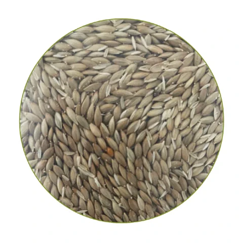 Semillas de Alpiste 1k 