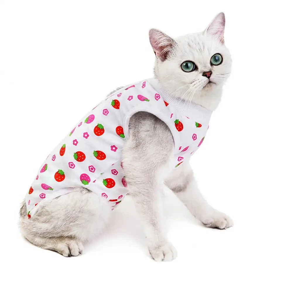 Body Tela Para Gatos 3