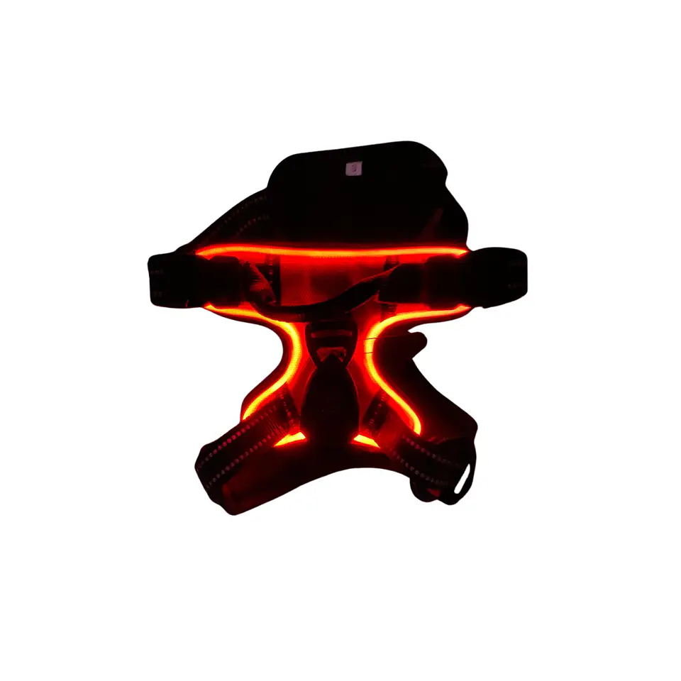 Arnes Con Luz Led USB 3