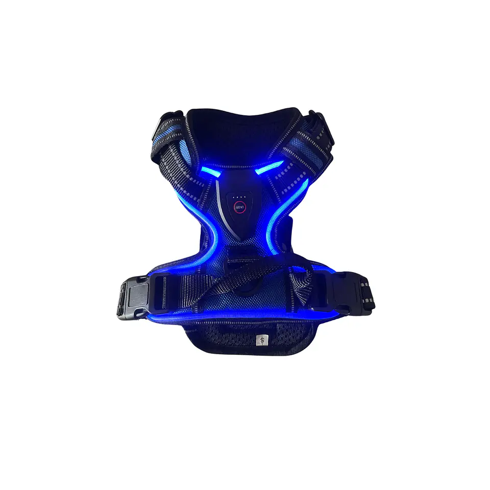 Arnes Con Luz Led USB 2