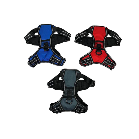 Arnes Con Luz Led USB