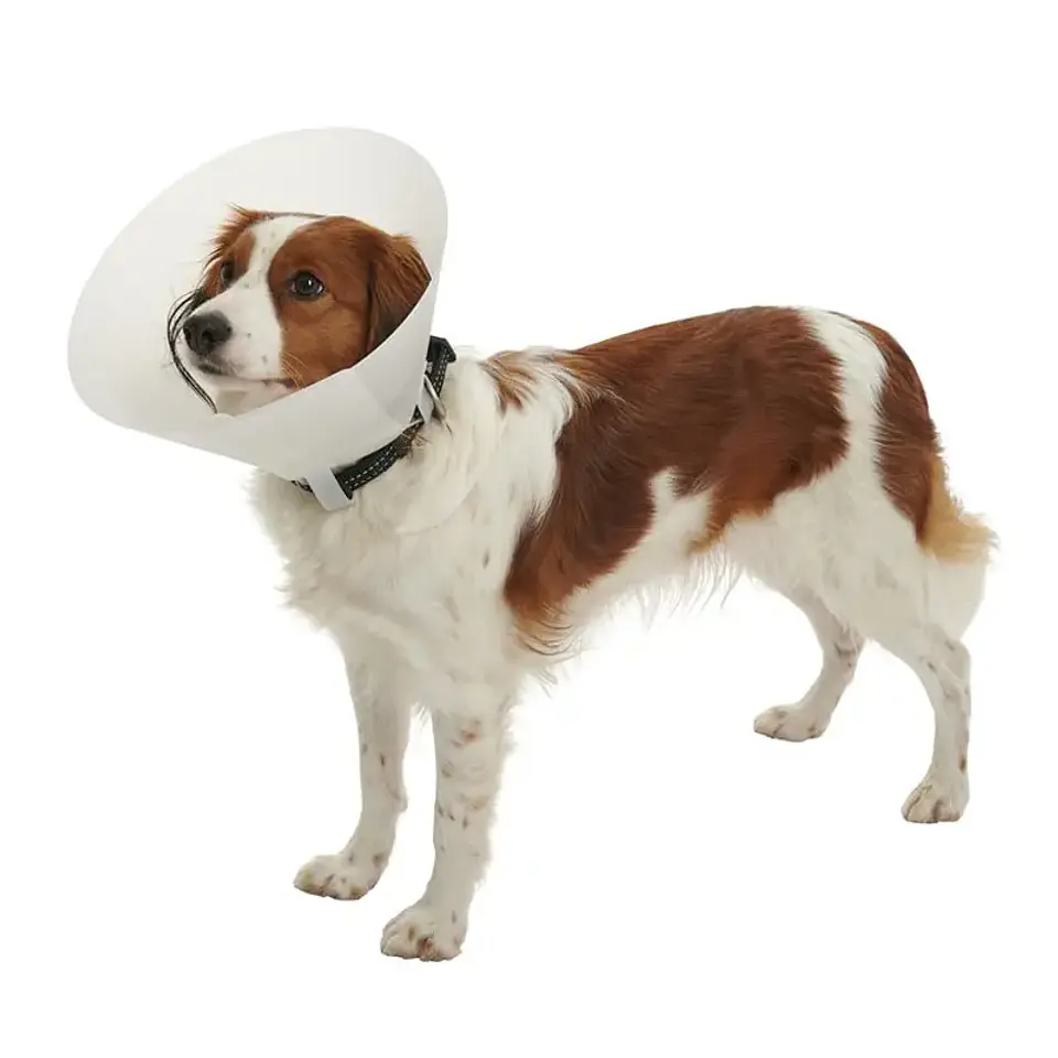 Collar Isabelino 10 cm 1