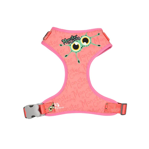 Arnes Variedad Diseños WD