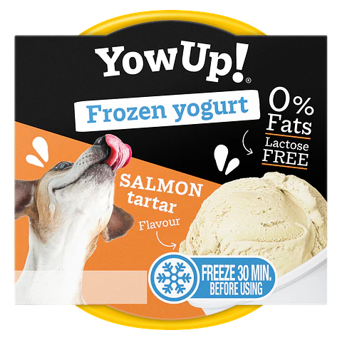 Helado Yow UP Frozen Yogurt 110 grs