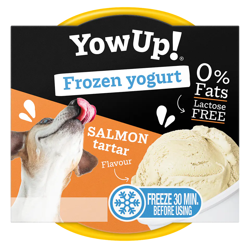 Helado Yow UP Frozen Yogurt 110 grs 2