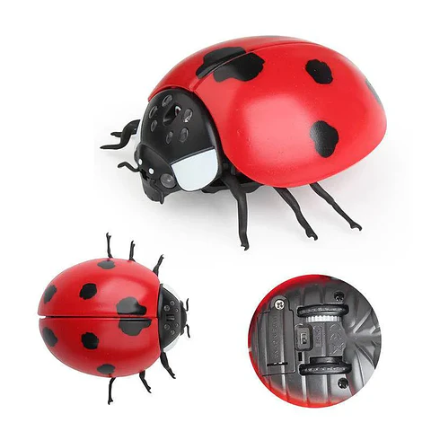 Juguete Eléctrico Insecto Gato 