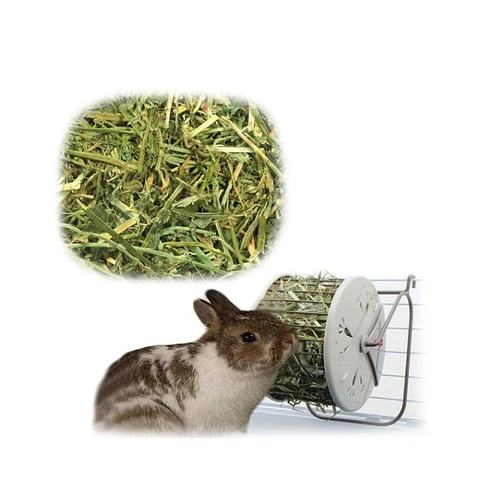 Estación de alimento Pequeña Mascotas 