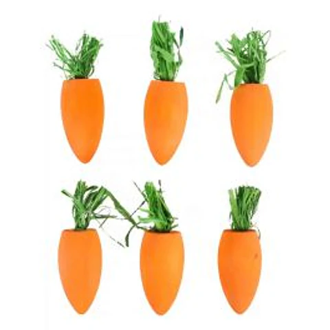 Masticables de Zanahorias 6 uni
