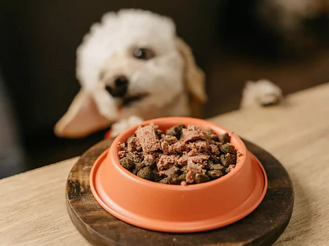 Pura Natura Perro Cachorro 300 grs 