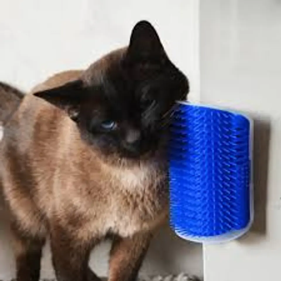 Rascador Esquina Para Gato Desmontable  3