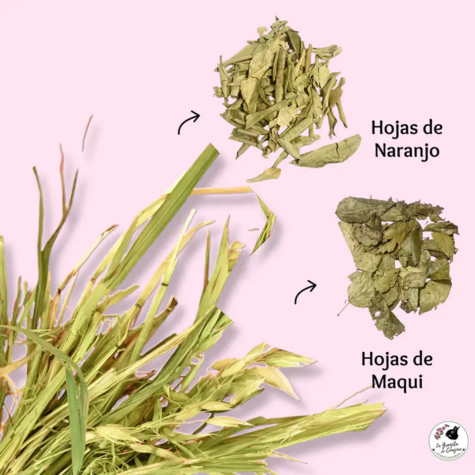 La Granjita del Conejito Avena Mix Hojas  2