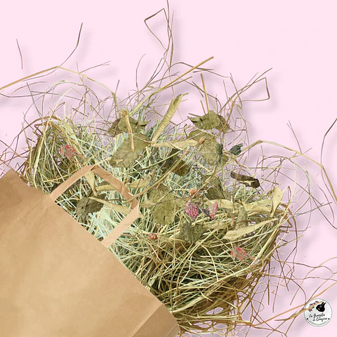 La Granjita Del Conejito Ballica Trebol Mix Hojas 1 Kilo 