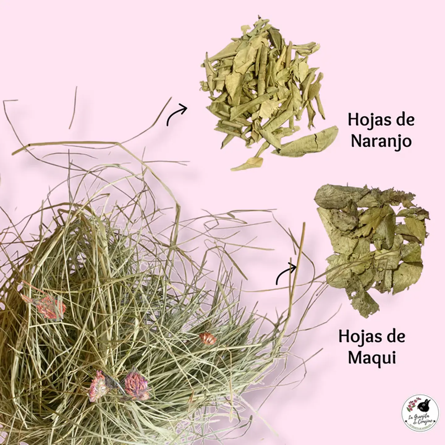 La Granjita Del Conejito Ballica Trebol Mix Hojas 1 Kilo  2
