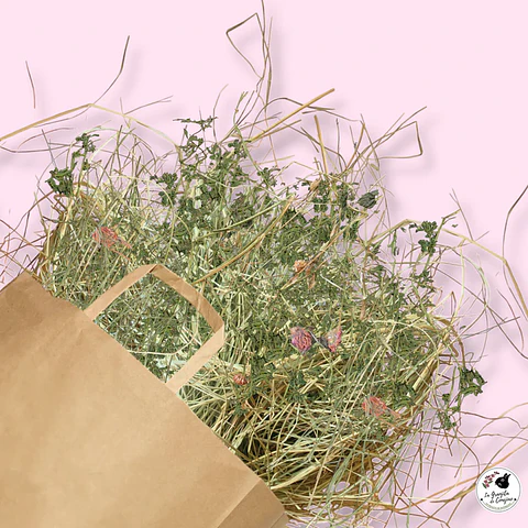 La Granjita del Conejito Alfalfa Ballica Trebol 1K 