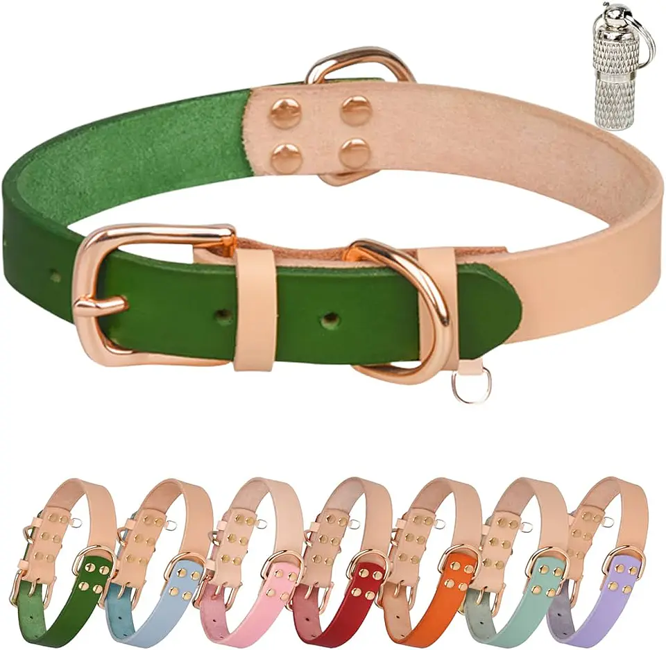 Collar Biocolor Cuero 1